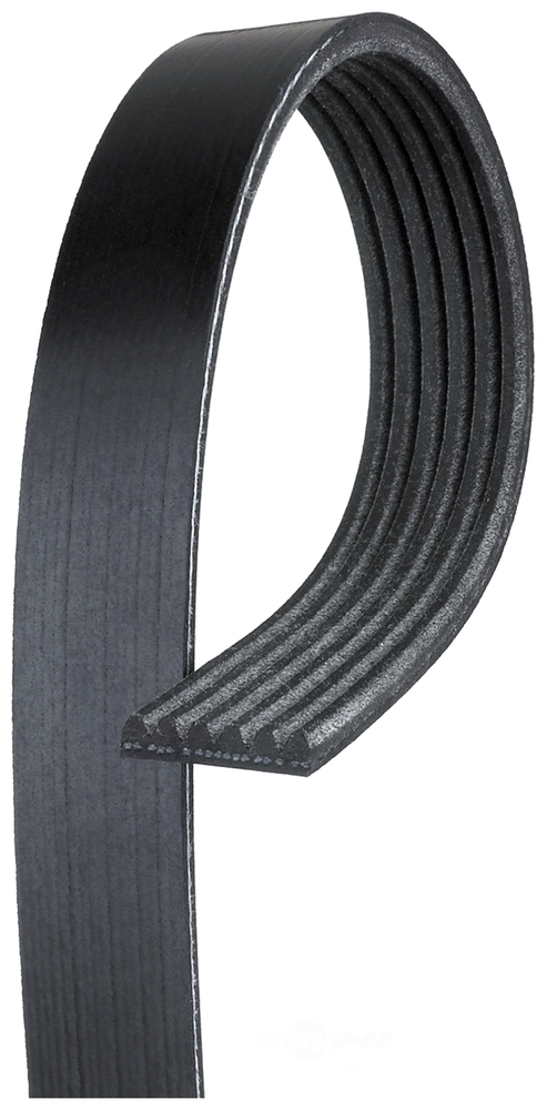 Serpentine Belt-Premium OE Micro-V Belt Gates K060650 