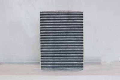 TYC Cabin Air Filter for 1998-2010 Volkswagen Beetle  nh
